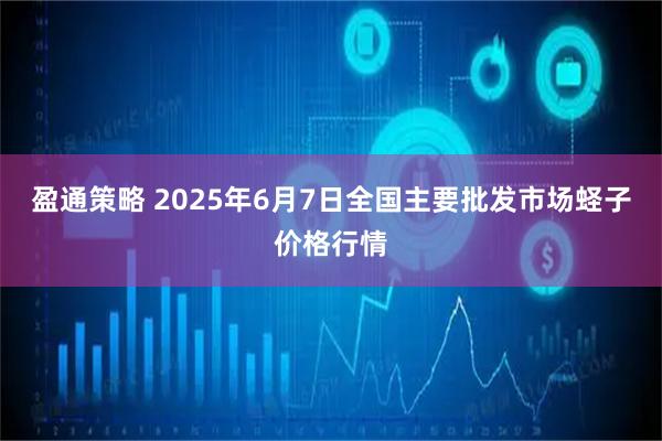 盈通策略 2025年6月7日全国主要批发市场蛏子价格行情