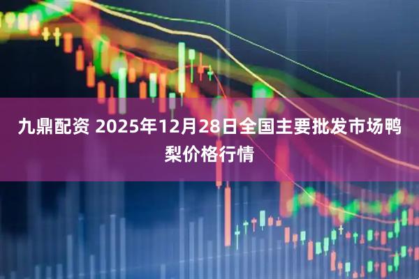 九鼎配资 2025年12月28日全国主要批发市场鸭梨价格行情