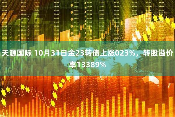 天源国际 10月31日金23转债上涨023%，转股溢价率13389%