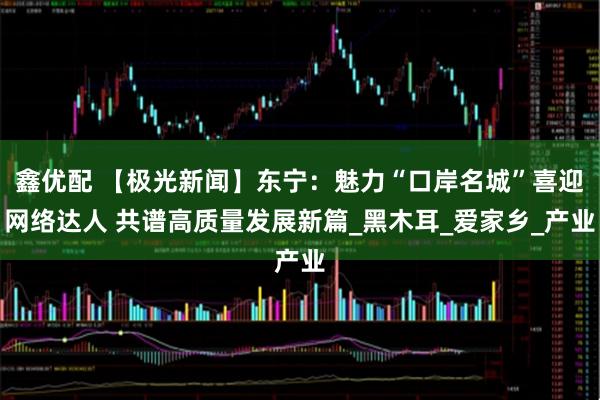鑫优配 【极光新闻】东宁：魅力“口岸名城”喜迎网络达人 共谱高质量发展新篇_黑木耳_爱家乡_产业