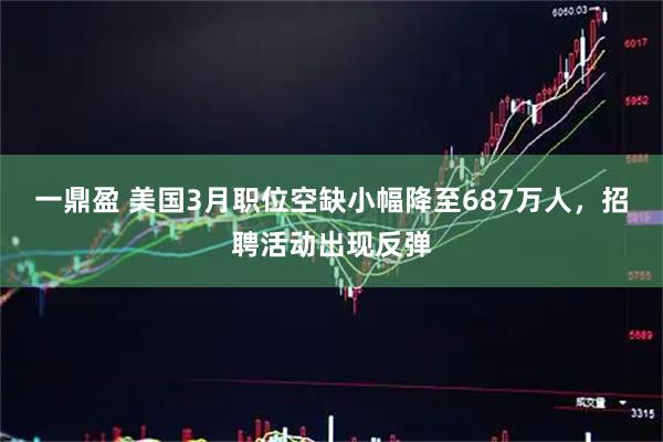 一鼎盈 美国3月职位空缺小幅降至687万人，招聘活动出现反弹